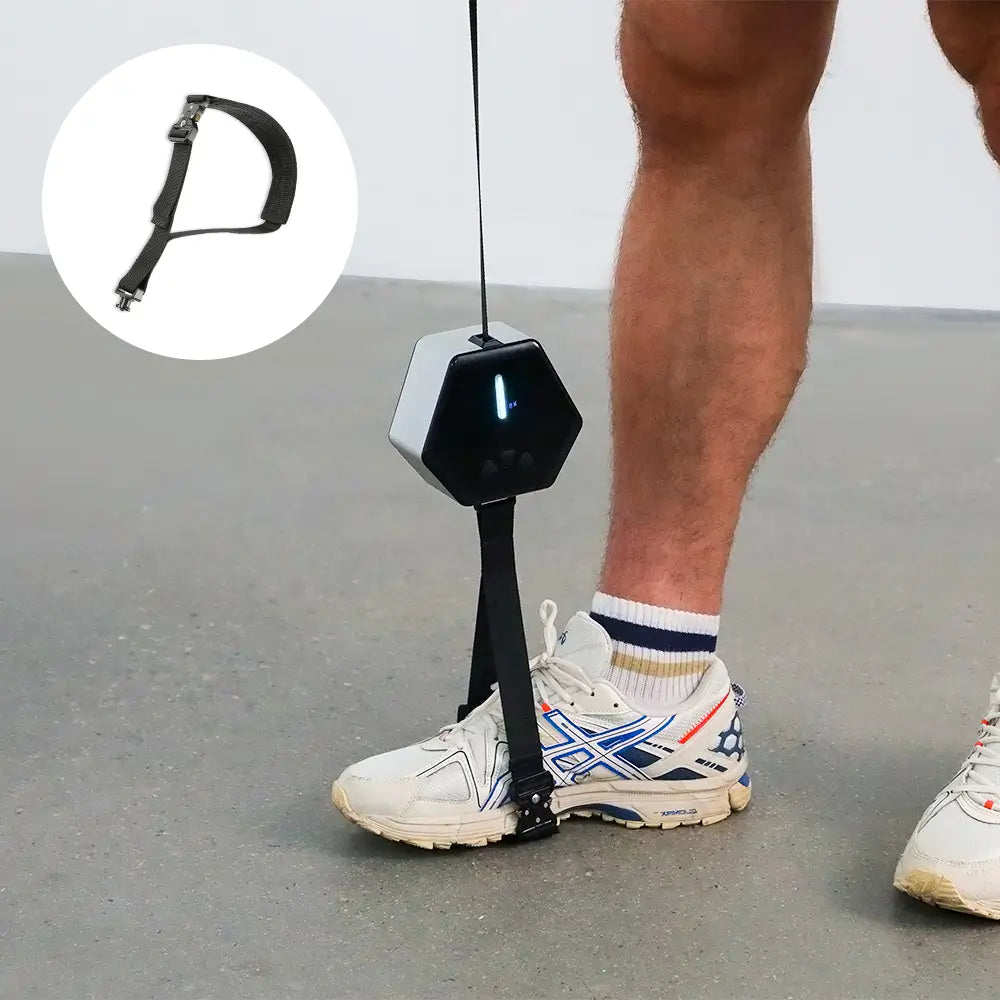 Tousains Hivegym is equipped with rich accessories.