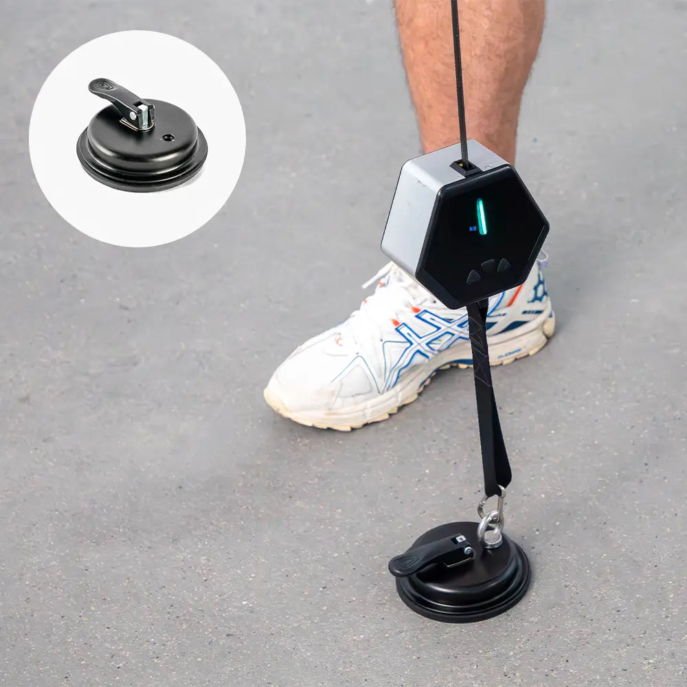 Tousains Hivegym is equipped with rich accessories.