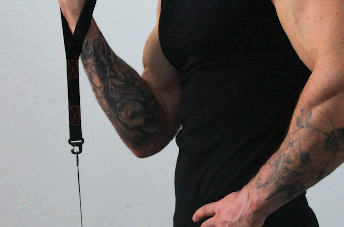 Tousains app makes your workout data with Hivegym visible.