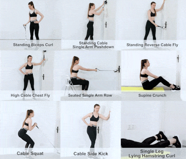 Use Tousains Hivegym to create various exercise postures. 